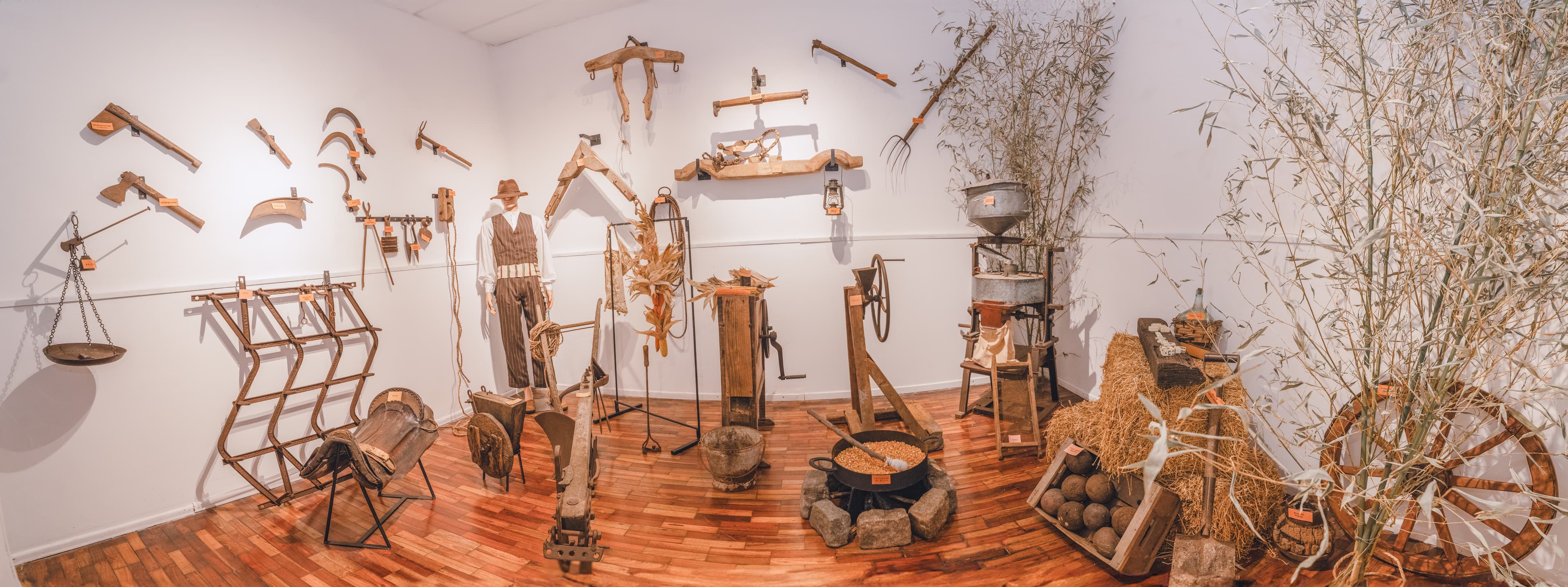 Museo de Canarias en Montevideo